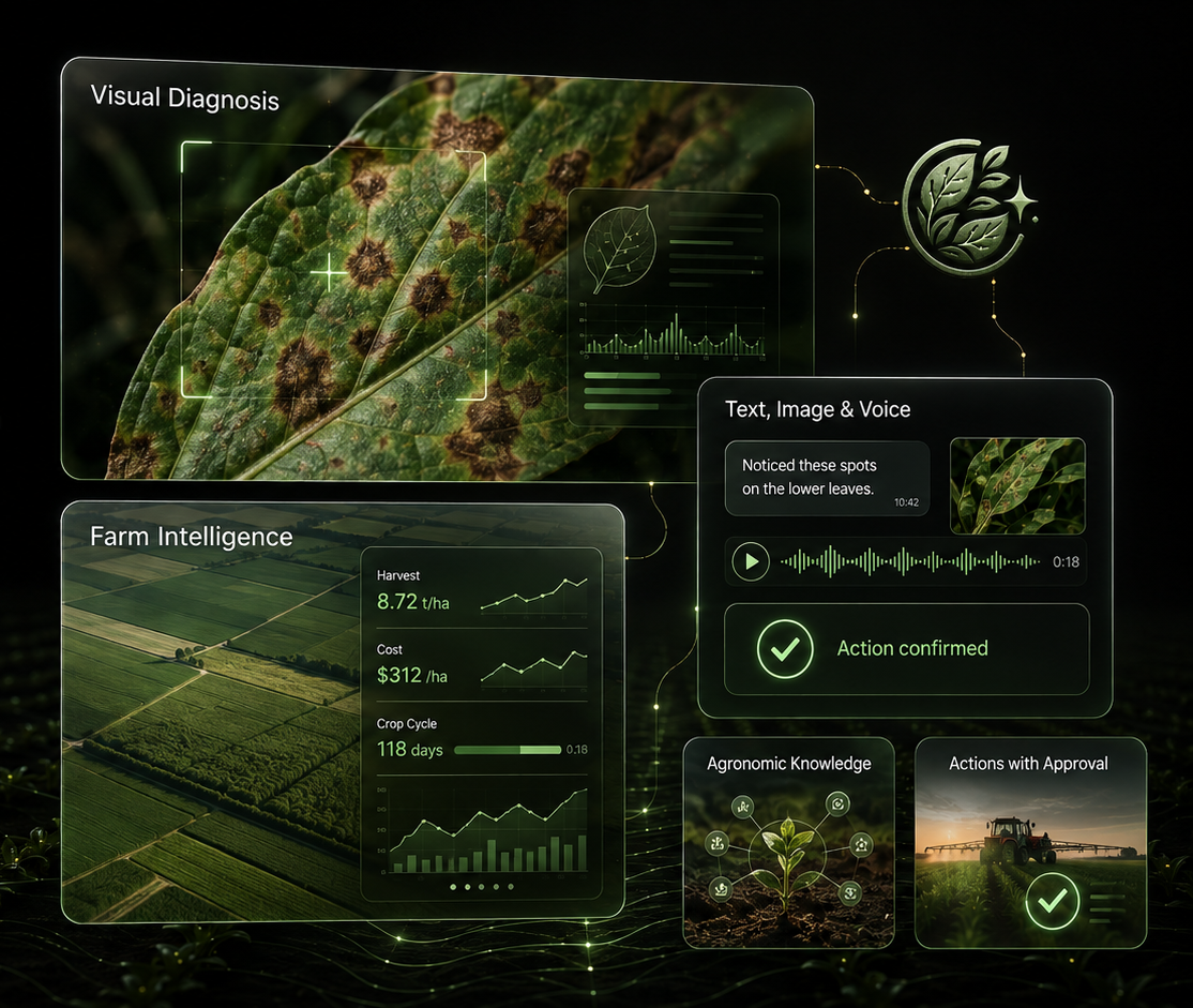 Decisions in the field, with an expert by your side